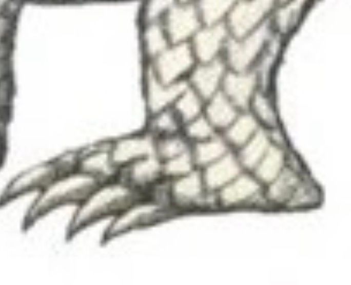 cartoon monster feet 