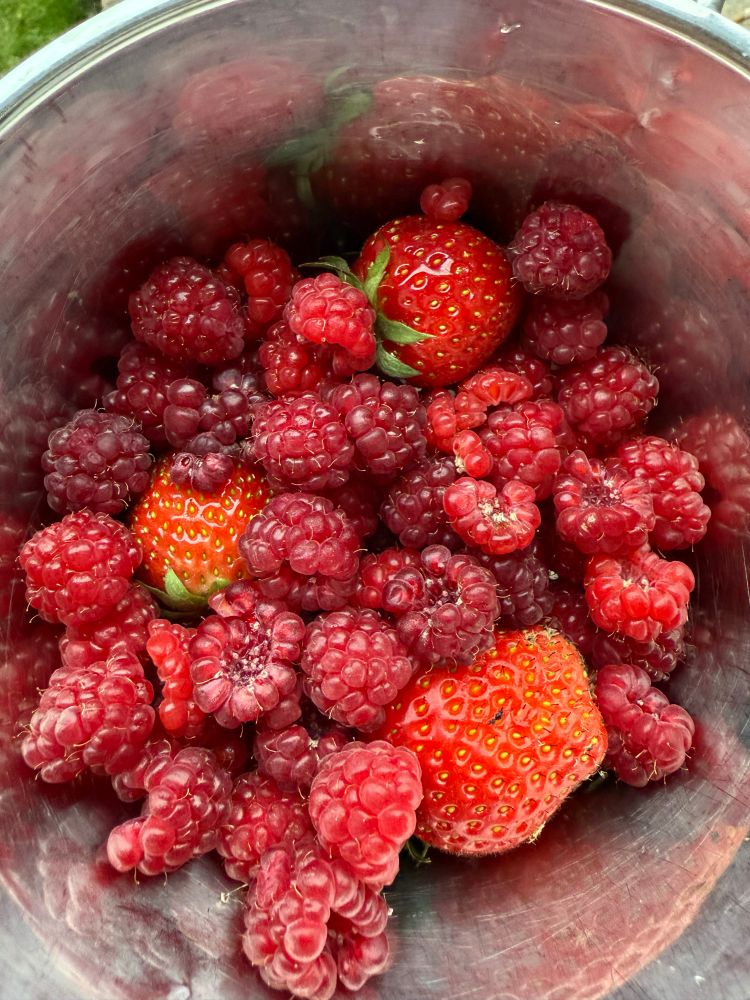 A colander filled with raspberries and strawberries 