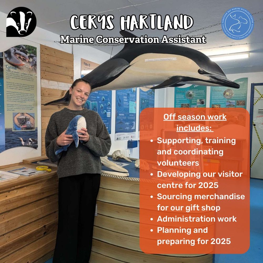 Photo of Cerys Hartland, Marine Conservation Assistant. Cerys is stood in the visitor centre holding a whale cuddly toy. Behind her is a common dolphin model hanging from the ceiling, a display of marine mammal skulls and information boards. 

Off season work includes - 
Supporting, training and coordinating volunteers
Developing our visitor centre for 2025
Sourcing merchandise for our gift shop
Administration work
Planning and preparing for 2025 