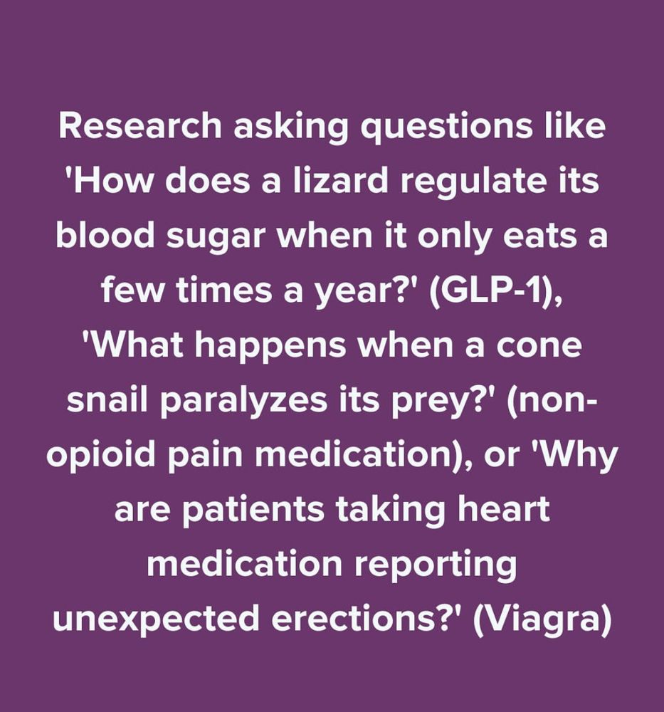 Research asking questions like
'How does a lizard regulate its blood sugar when it only eats a few times a year?' (GLP-1),
'What happens when a cone snail paralyzes its prey?' (non-opioid pain medication), or 'Why are patients taking heart medication reporting unexpected erections?' (Viagra)