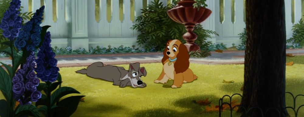 la belle et le clochard dans le jardin