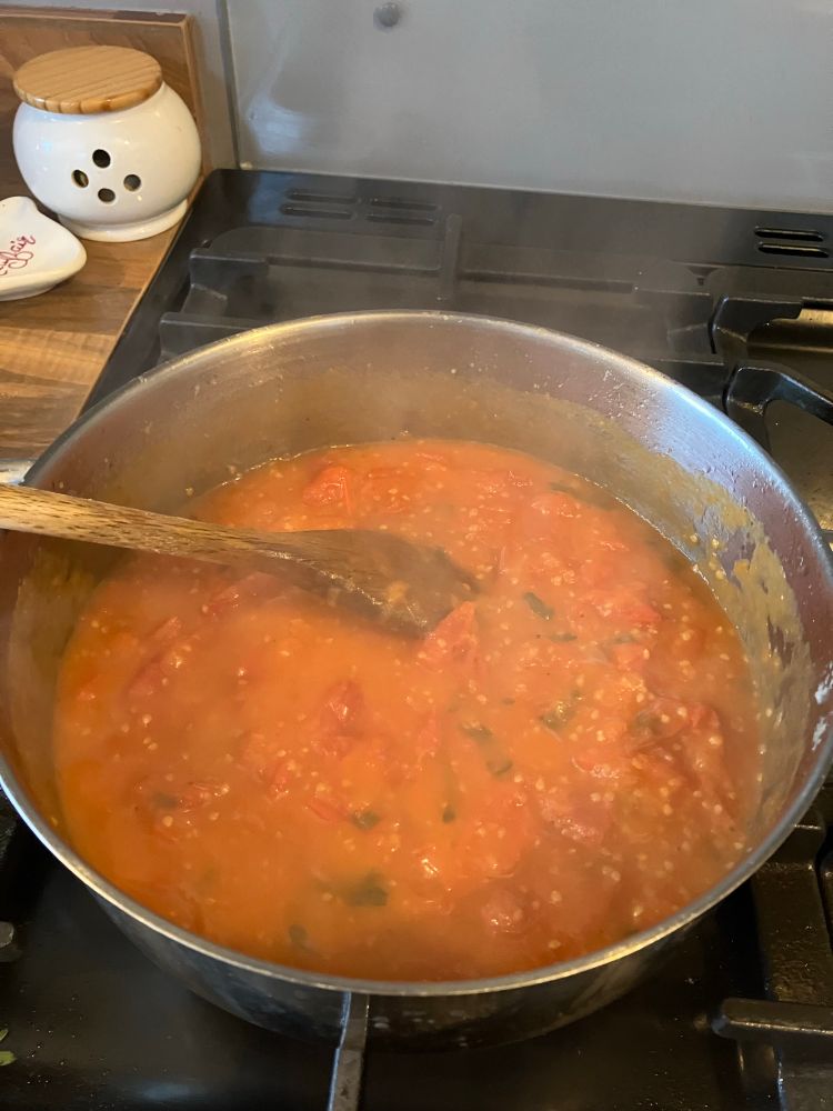 The finished sauce - chunky tomatoey garlicky liquid with flecks of basil 