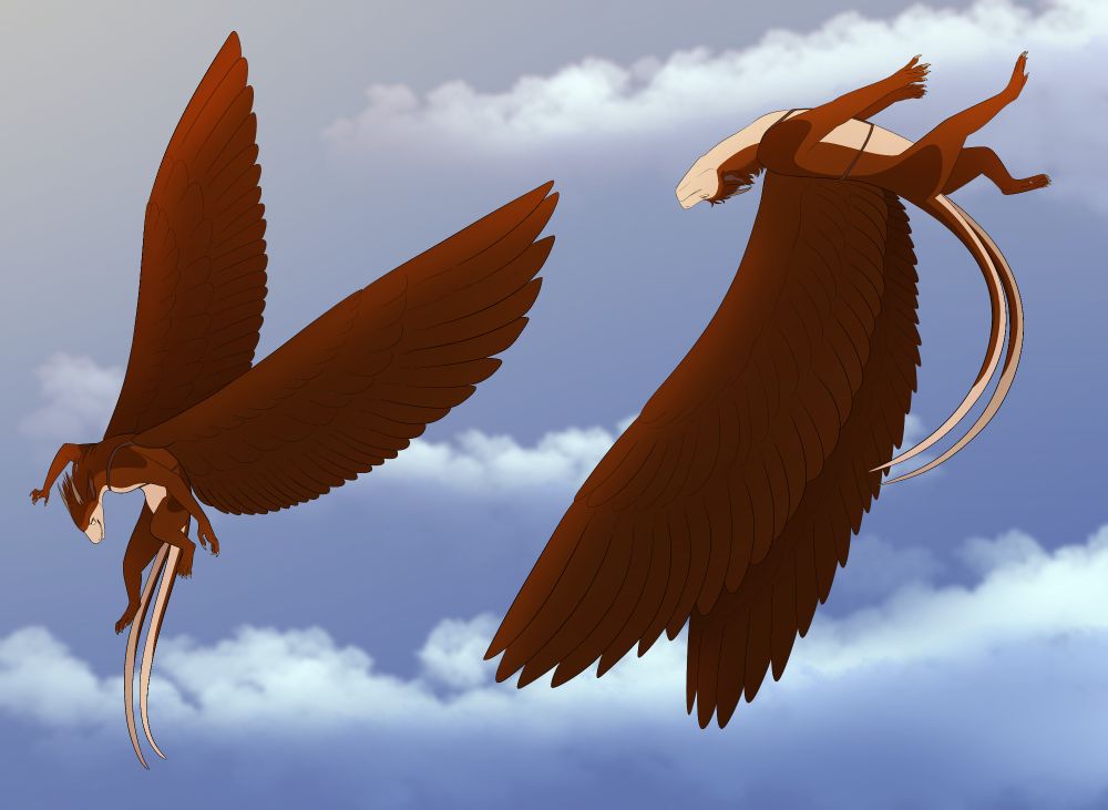 brownish-red mammalian creature flying in the sky with feathery wings