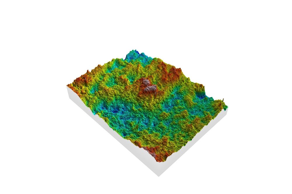 confocal image of a lithic surface used to scrape wood 