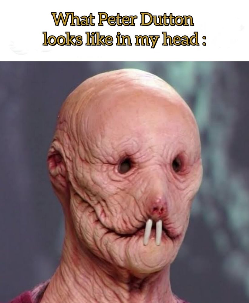 A human mole rat that looks like Australian conservative politician Peter Dutton.