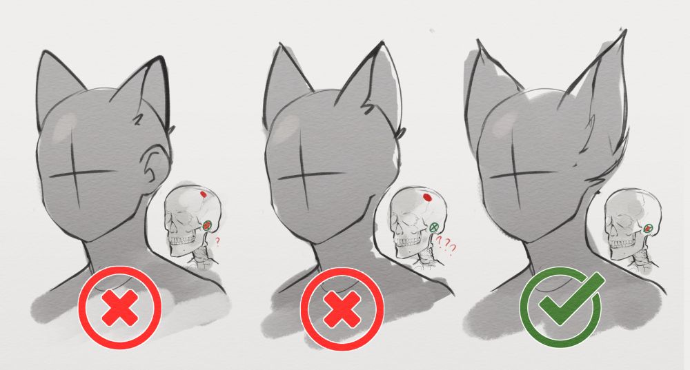 > The OBJECTIVELY correct take on beast ears. //shot

Something that's been on my mind with the increasing amount of cat boys and girls the algorithm is begging me to engage with.

Just so we're clear, I get the appeal of the other two. My anatomy brain just doesn't like processing how'd it work. (ﾉ´ヮ´)ﾉ*:･ﾟ✧
---
獣耳の客観的に正しい見解。

最近、アルゴリズムが私に関わるように促している猫耳の男の子や女の子が増えてきたことで、頭に浮かんでいます。

念のために言いますが、他の二つの魅力も理解しています。ただ、私の解剖学的な脳は気に入らないんです (ﾉ´ヮ´)ﾉ*:･ﾟ✧
