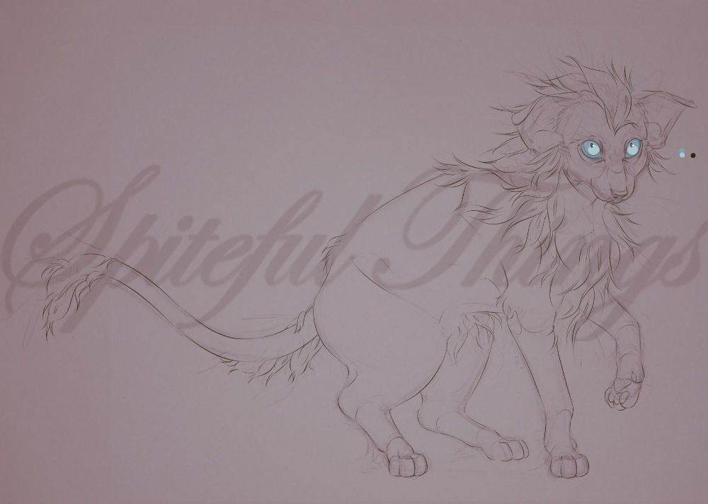 A fullbody mixed-media (traditional and digital) sketch of a cat character design.