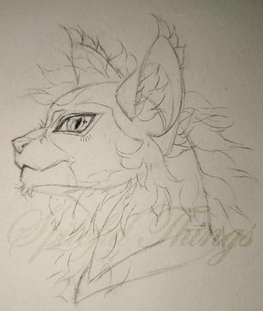 A traditional side-profile bust sketch of my cat OC, Fuchs, looking up.