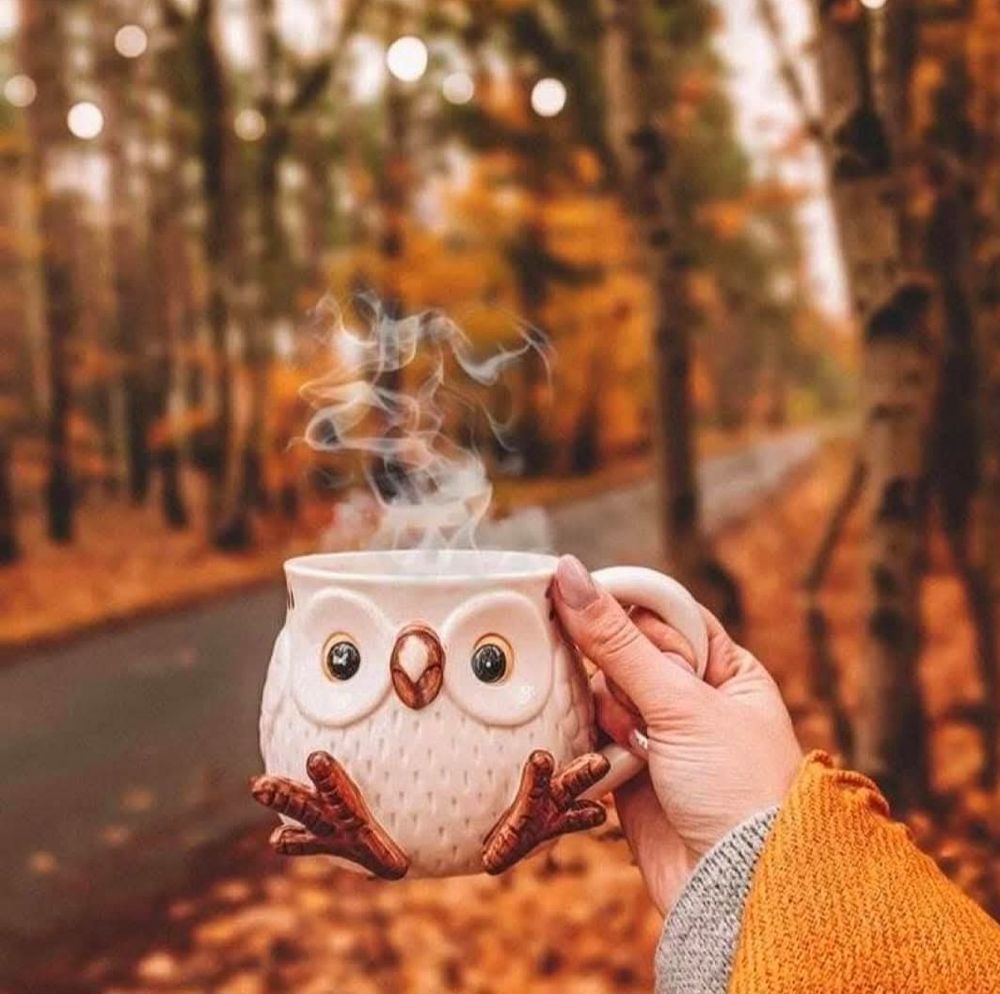 Hand hält eine dampfende Tasse in Eulenform vor herbstlichem Waldweg mit buntem Laub.  Netzfund