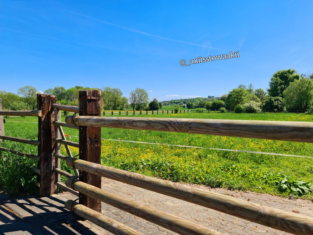 Comment image