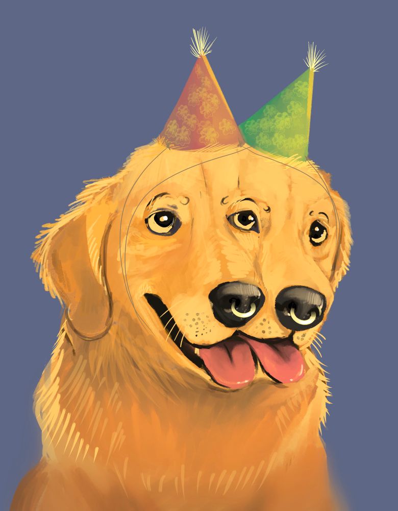 Happy Birthday Dogzone!