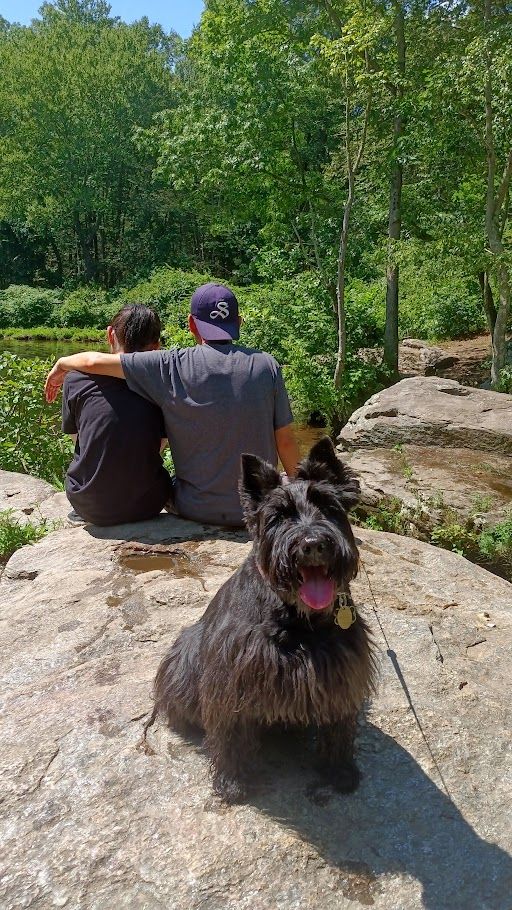 dog. scottish terrier. Tichborne case. Gramsci’s theory of hegemony.