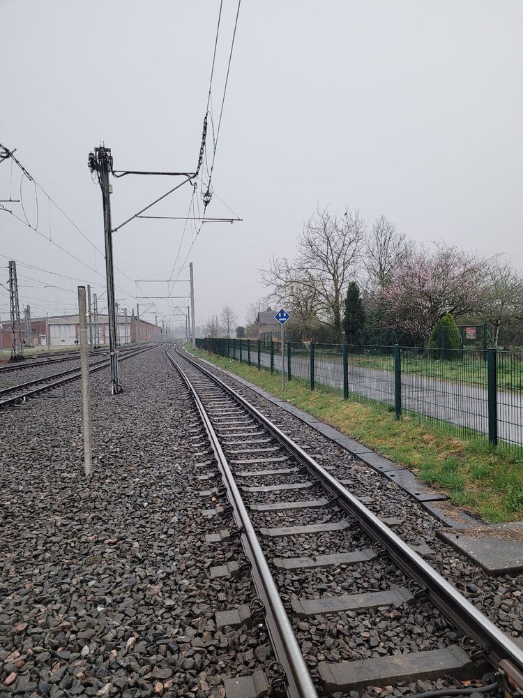 Straßenbahnschienen führen in die Ferne. Es ist grau und trist. 