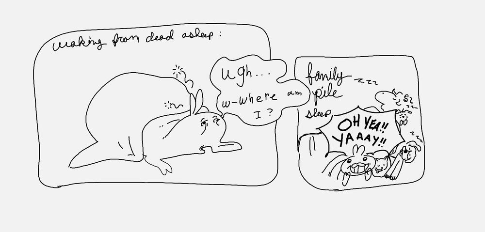 A cartoon pig wakes up confused going "where am I" before realizing he is in a pile with his spouse and their two dogs and cat.. He goes 'Oh yea! yaaay!"