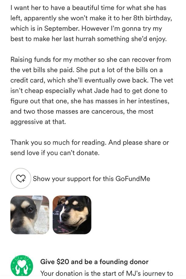 I want her to have a beautiful time for what she has left, apparently she won't make it to her 8th birthday, which is in September. However I'm gonna try my best to make her last hurrah something she'd enjoy.
Raising funds for my mother so she can recover from the vet bills she paid. She put a lot of the bills on a credit card, which she'll eventually owe back. The vet isn't cheap especially what Jade had to get done to figure out that one, she has masses in her intestines, and two those masses are cancerous, the most aggressive at that.
Thank you so much for reading. And please share or send love if you can't donate.