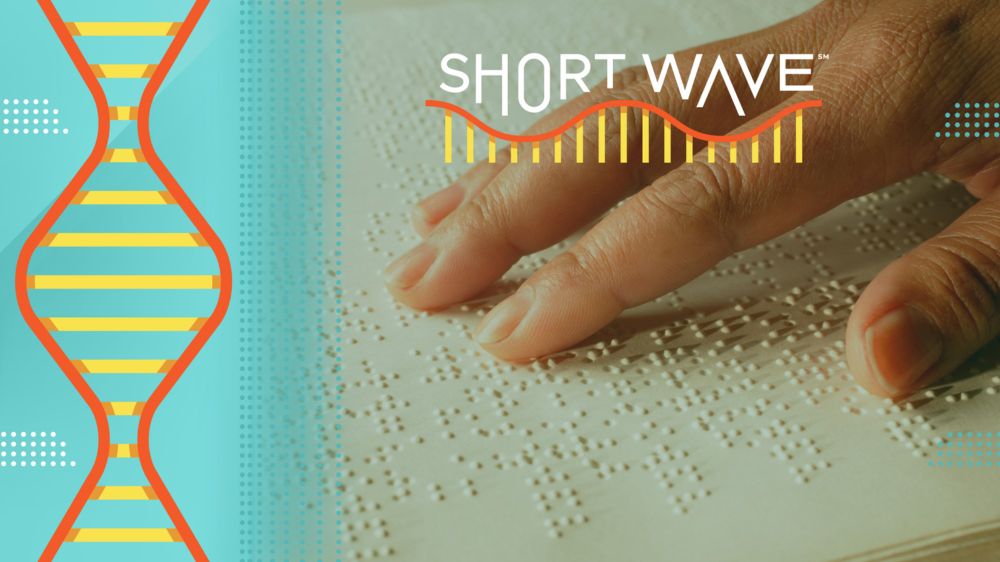 Transforming braille education could help millions of visually impaired Americans : Short Wave