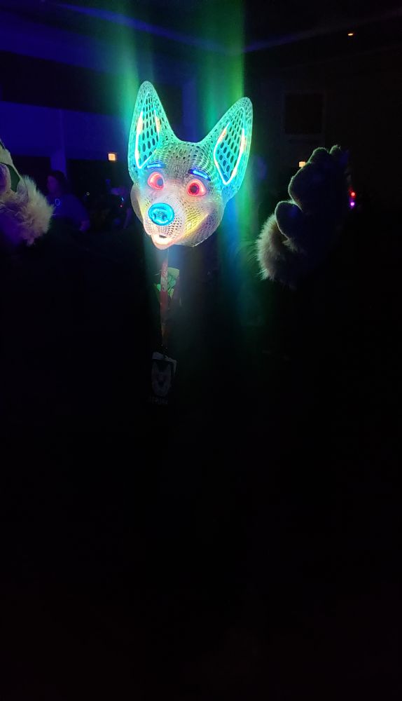 Cool glowy fursuiter I spotted at the rave. Featuring light up nose, eyes, eyebrows, and inner ears
