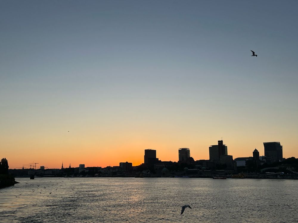Sonnenuntergang vor Fluss mit Stadtsilhouette und Möwen
