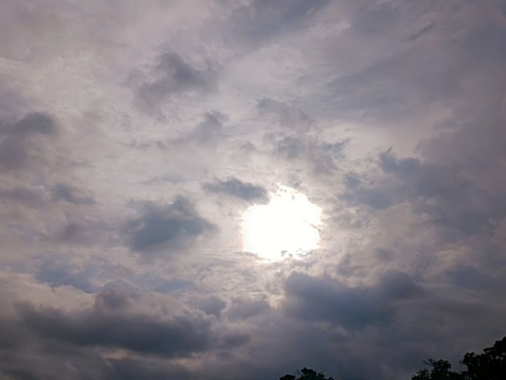 neighbor sky 