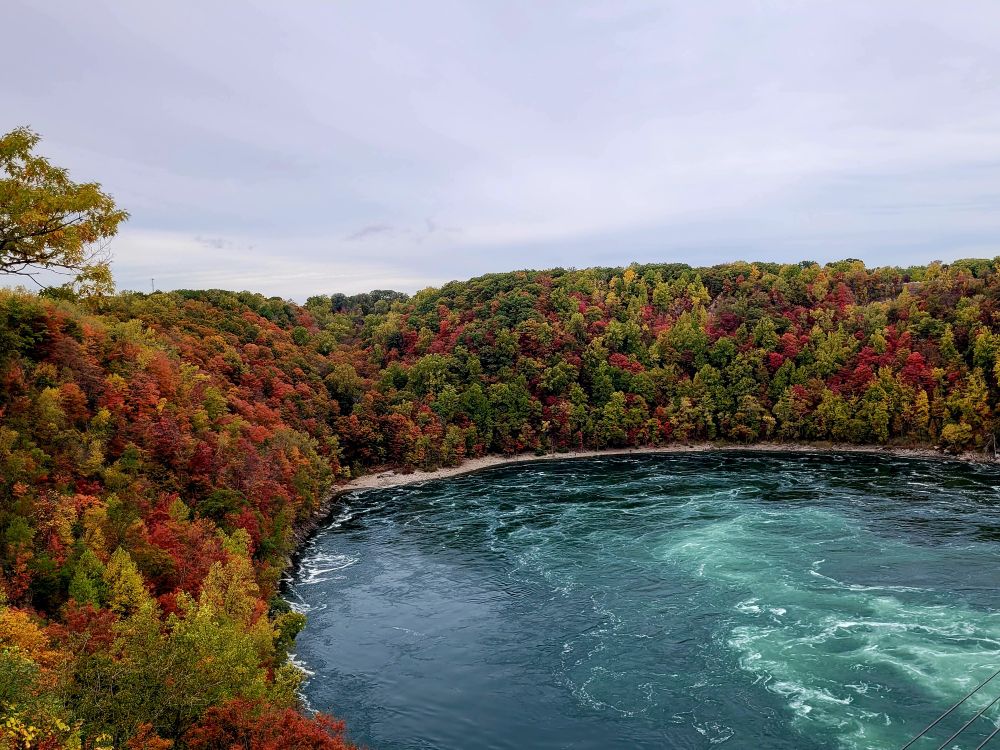 Am Ufer eines tiefgrünen Gewässers stehen dicht, Bäume mit rotem, orangem, grünen Blätterteig.
