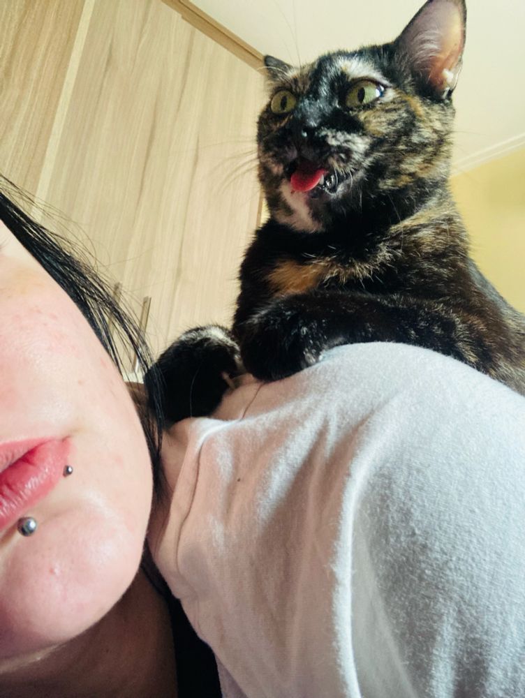 foto da minha gata chamada coruja deitada nas minhas costas com a linguinha pra fora, a boquinha aberta e o olhar absolutamente vazio