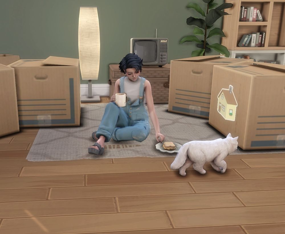 Sim sitting on the floor eating with boxes all around her in a living room and her cat Miso walking around. 