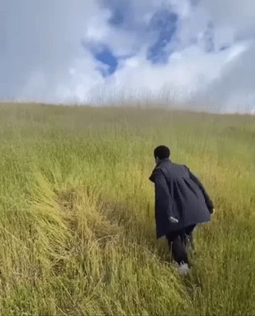 a person in a black jacket is walking through a grassy field .