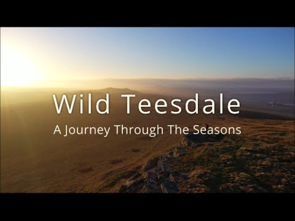 Upcoming Documentary: Wild Teesdale - A Journey Through the Seasons