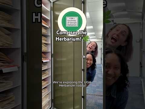 Explore the UGA Herbarium!