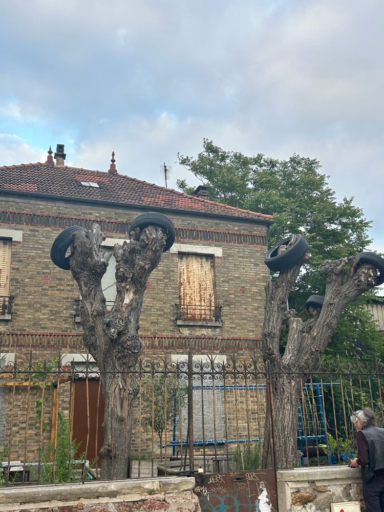Une photo de 2 platanes devant une maison abandonnée avec des pneus sur leurs branches 