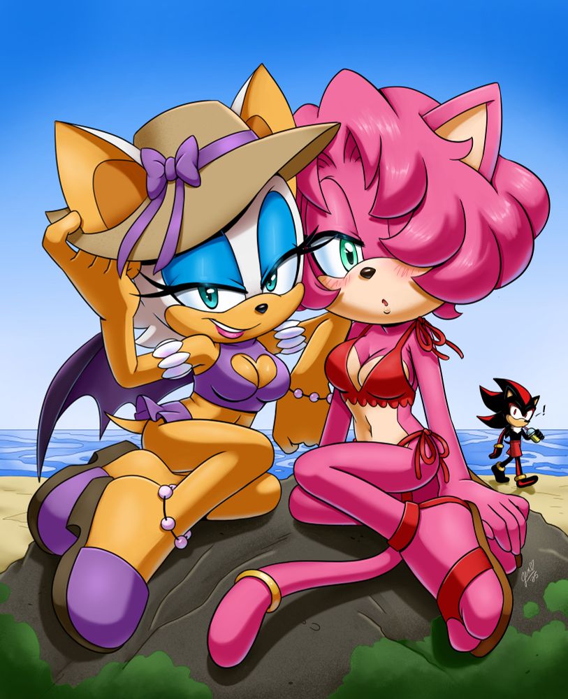 Rouge the Bat and Jade the Cat sit on a rock on the beach on a sunny day, and pose for the camera. Shadow photobombs in the background. 