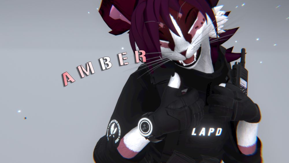 Equipment Expert Officer Amber