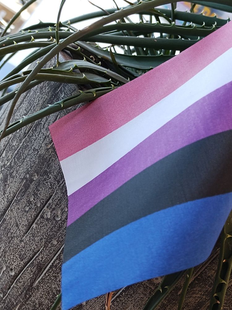 Gender fluid pride flag 