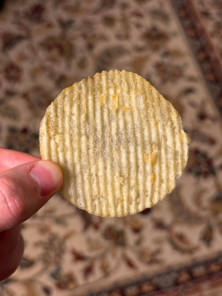 Detail of a very round Ruffle’s potato chip