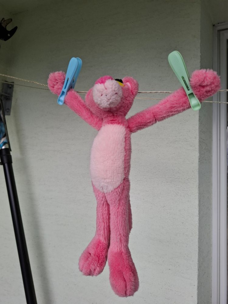 photo of a pink panther plushie hanging on a clothesline in a position similar to jesus on the cross