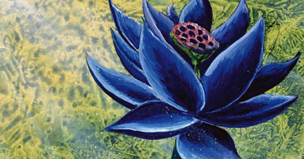 Art from the classic Magic: The Gathering "Black Lotus" card