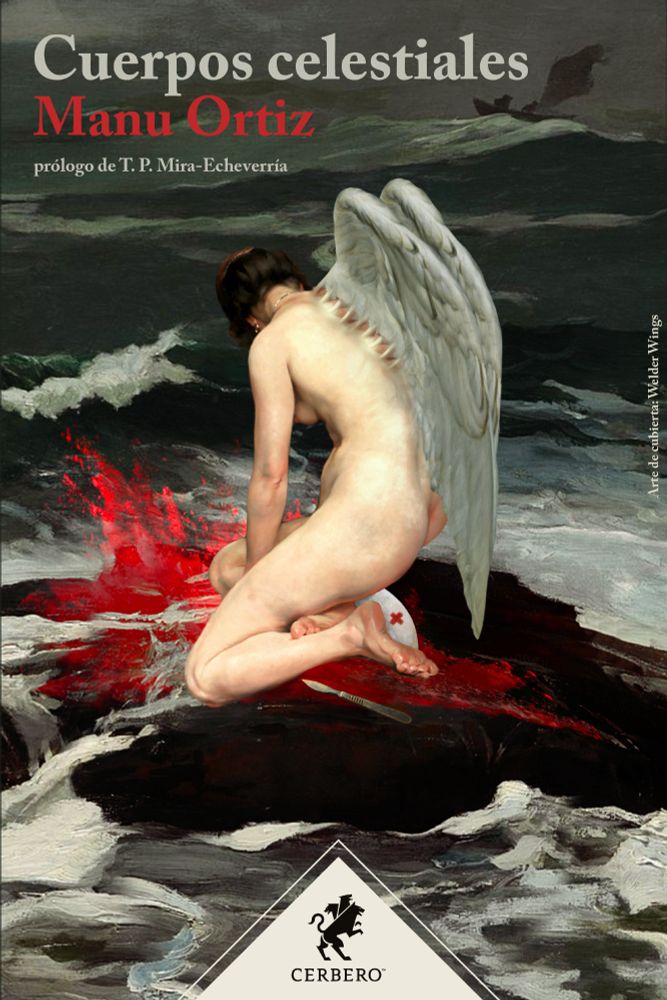 Ilustración de cubierta. Obra pictórica que representa a una persona desnuda, quizá una mujer, arrodillada en una roca negra sobre la que rompen las olas de una tempestad épica. Una roca negra en mitad de un océano embravecido y, sobre la roca, una mujer arrodillada. Bajo ella un gran charco de sangre, que también salta salpicando al romper de las olas. En el suelo un bisturí, a su lado, y una cofia de enfermera. Y, en su espalda, como cosidas, como pretendiendo desprenderse, o tal vez alzarla por encima de las nubes y la gente, unas alas enormes, de plumas blancas, como de ángel primordial. Y, al fondo, un barco de vela, azotado por las  inclemencias. Todo en tonos oscuros, de azul, blanco y gris. Y rojo, claro, no nos olvidemos del rojo.