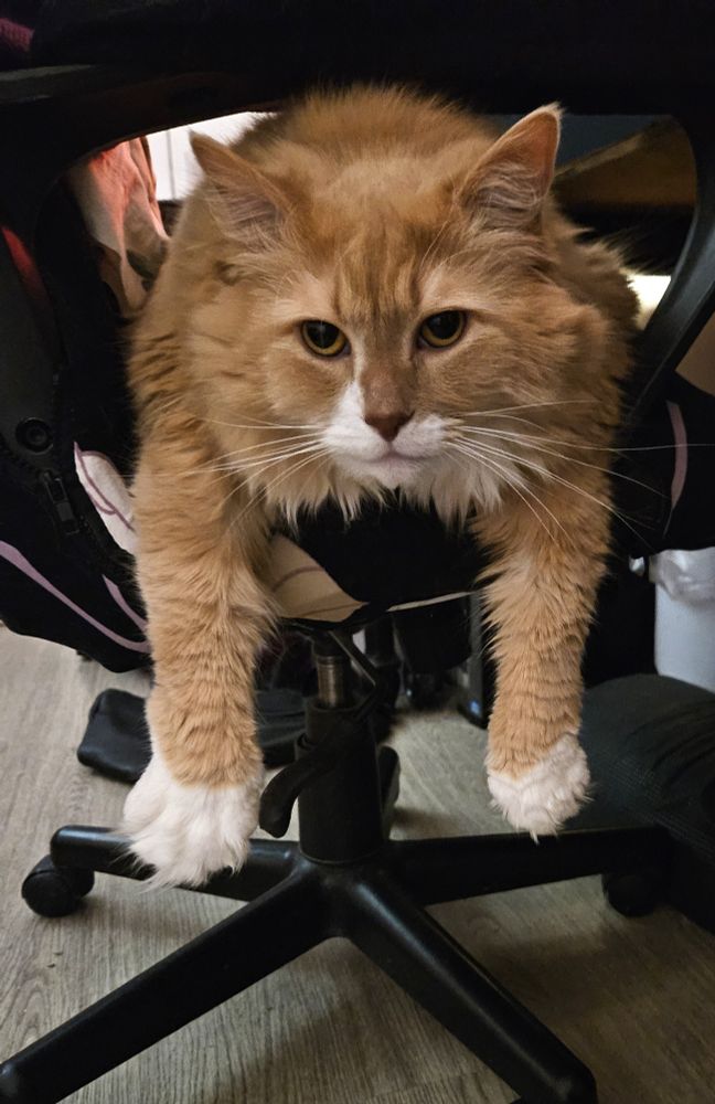 Max would like a word