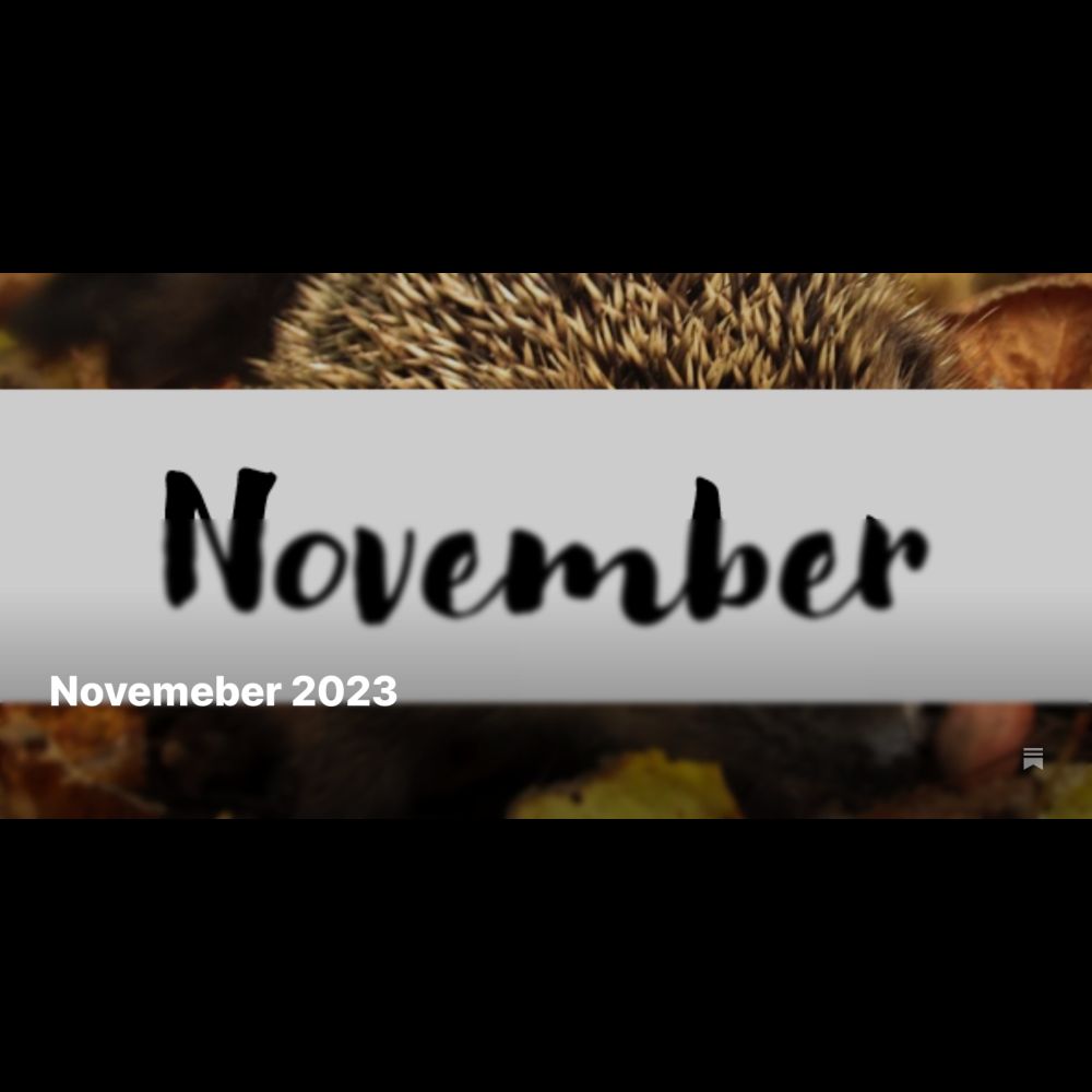 Novemeber 2023