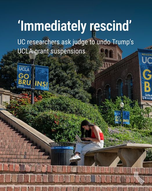 A person uses their laptop at the UCLA campus in Los Angeles on Feb. 18, 2022. Photo by Raquel Natalicchio for CalMatters


Hed: ‘Immediately rescind’: UC researchers ask judge to undo Trump’s UCLA grant suspensions
