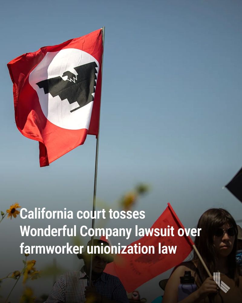 United Farm Workers march in Delano in a caravan heading to the state Capitol on Aug. 3, 2022. Photo by Larry Valenzuela, CalMatters/CatchLight Local. HED:  California court tosses Wonderful Company lawsuit over farmworker unionization law 