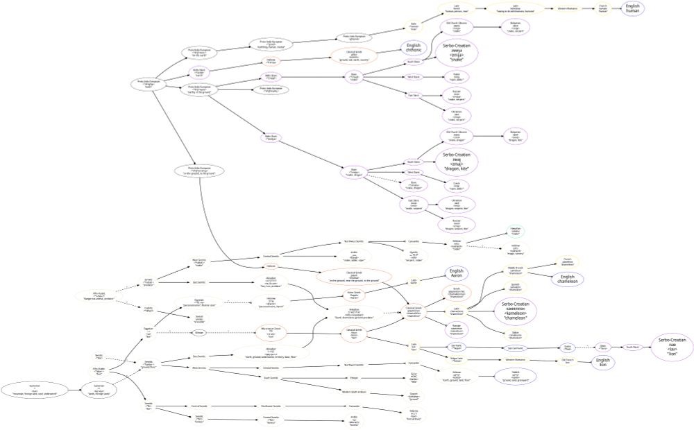 Sumerian <kur> "mountain, foreign land, east, underworld"
Sum. <kur-kur> "lands, foreign lands"
Semitic <*ḳarḳar-> "ground, floor"
Akkadian <qaq-qa-ru> "earth, ground, underworld, territory"
Akk <nēšu ša qaqqari> "lizard, chameleon, ground-predator"
Geʿez <ḳärḳär> "field"
Hebrew <karká> "earth, ground, land, floor"
Yid. <karke> "ground, land, graveyard"

AA <*n-ħas-?> "dangerous animal, predator"
Cush <*niħas?>
Somali yaxaas "crocodile"
Sem <*naḥaš-> "predator"
Akk <ne-šu-um> "lion, predator"
Akk <nēšu ša qaqqari> "lizard, chameleon, ground-predator"
Gr <khamailéōn> "chameleon"
W Sem <*naḥaš-> "snake"
Arabic <ḥanaš> "snake, adder, viper"
Ugaritic <nḥš> "serpent, snake"
Hebrew <nakhásh> "snake"

AA <*labwʾ-> "lion"
Egyptian <rw> "lion"
Egy <*ꜥḥꜣ rw> "personal name?: Warrior-Lion"
Hebrew <aharón> "personal name, Aaron"
English Aaron
Myc Gr <re-wo> "lion"
Gr <léon> "lion"
Gr <khamailéōn> "chameleon"
Latin leō "lion"
English lion
Gc <*laujan>
Slav <*lь̀vъ>
Serbo-Croatian <lav> "lion"
Sem <*lbʾ> "lion"
Hebrew <laví> "lion (archaic)"

PIE <*dʰéǵʰm ̥ > "earth"
O Pers <*zmiš>
O Pers <ʰUvārazmiš> "Chorasmia"
Arabic <ḵawārizm> "Chorasmia"
Arabic <al-ḵawārizmiyy> "the Chorasmian, (Muhammad ibn Musa) al-Khwarizmi"
Med. Latin algorismus "algorithm"
English algorithm

Hellenic <*tʰkʰṓn>
Gr χθών <khthṓn> "ground, soil, earth, country"
English chthonic

PIE <*dʰǵʰmyós> "earthy, in the ground"
Slav <*zmь̀jь> "snake, dragon"
Ukrainian <zmij> "dragon, serpent, kite"
Serbo-Croatian <zmaj> "dragon, kite"

PIE <*dʰǵʰmyéh₂>
Slav <*zmьjà> "snake"
Ukr <zmija> "snake, serpent"
SC <zmija> "snake"

PIE <*dʰǵʰmen-> "on the earth"
PIE <*ǵʰmṓ> "earthling, human, mortal"
Italic <*xemō> "man"
Latin homō "human, person, man"
English human

PIE <*dʰǵʰm ̥ meh₂y> "on the ground, to the ground"
Gr. <khamaí> "on the ground, near the ground, to the ground"
Gr. <khamailéōn> "chameleon"
Russian <xameleon> "chameleon"
Serbo-Croatian <kameleon> "chameleon"
English chameleon
