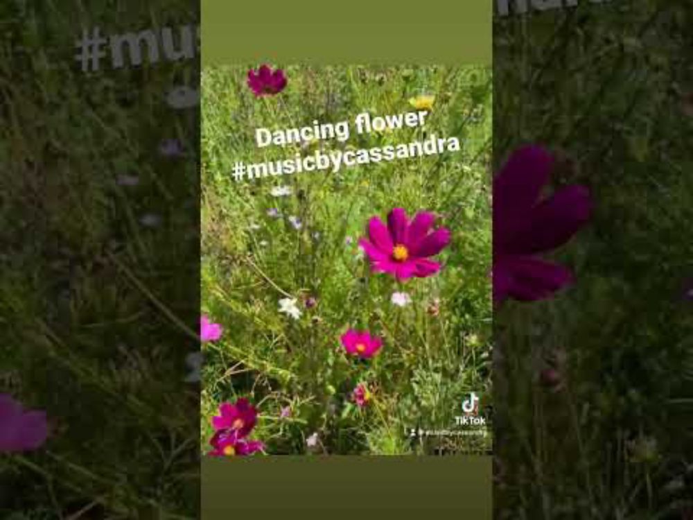 Dancing flower. Music composed by Cassandra Oscar. #musicbycassandra #composer #music #songwriter