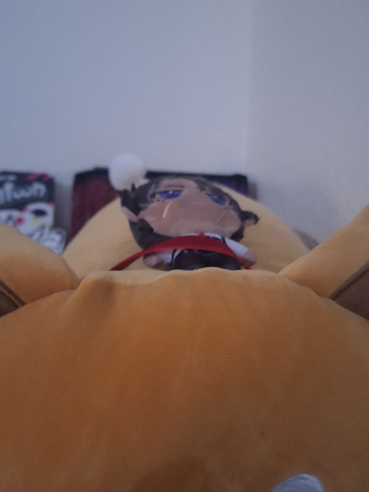chibi heathcliff plush trapped under the collar of one of my shiba inu plush mr shibata.