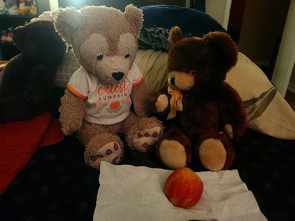 2 teddy bears studying an apple