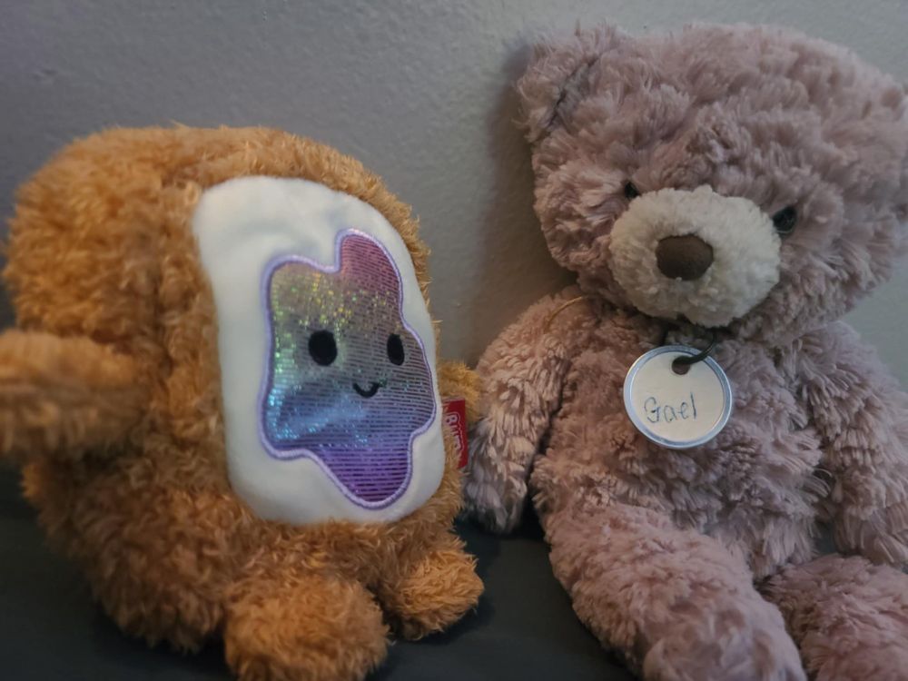 A teddy bear and toast plush