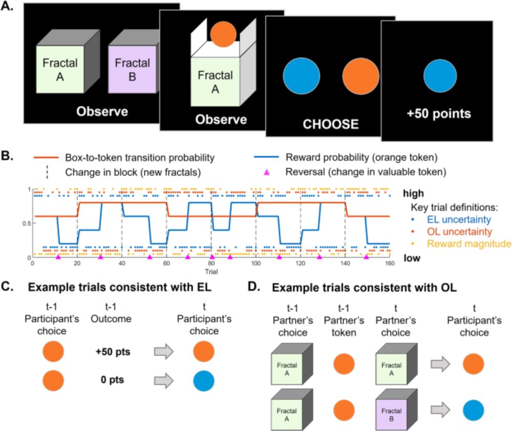 Heterogeneity in strategy use during arbitration between experiential and observational learning - Nature Communications