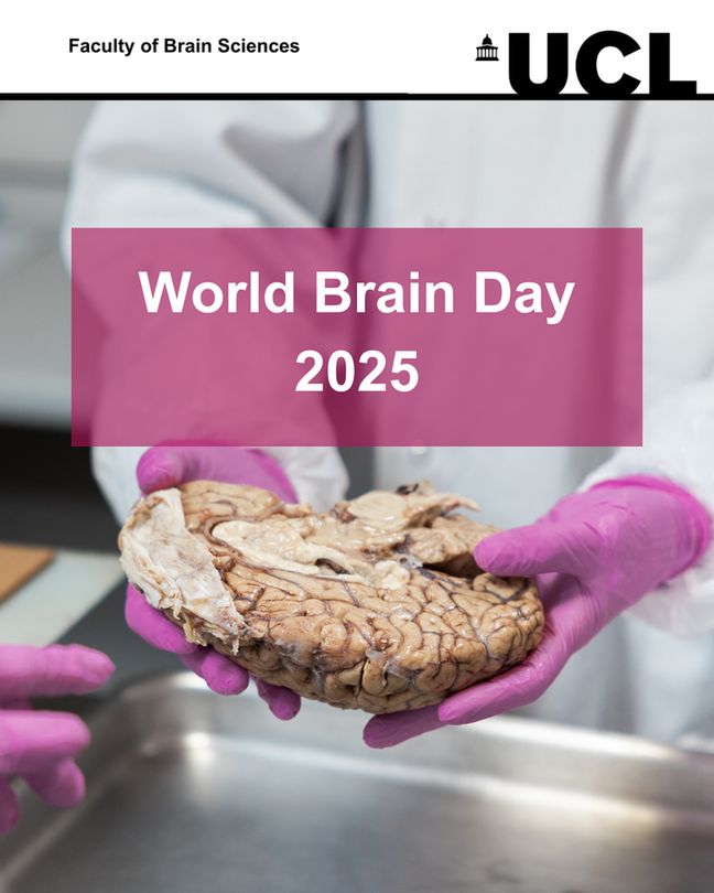 Reads: World Brain Day