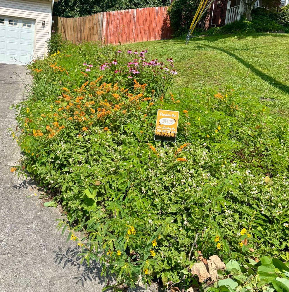 A patch of orange, white, yellow, and pink flowers along a driveway. A small orange sign half buried in the plants reads “pardon the weeds, I’m feeding the bees”.
