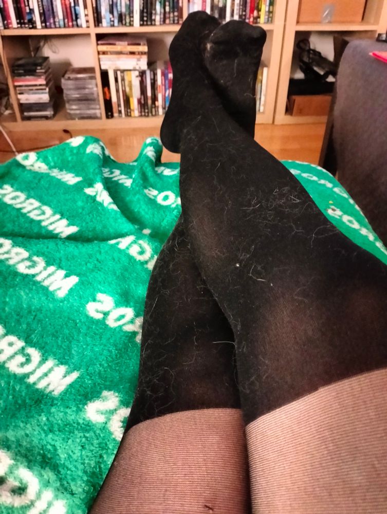Beine in Nylons welche voller Katzenhaare sind. Auf dem Sofa liegend.